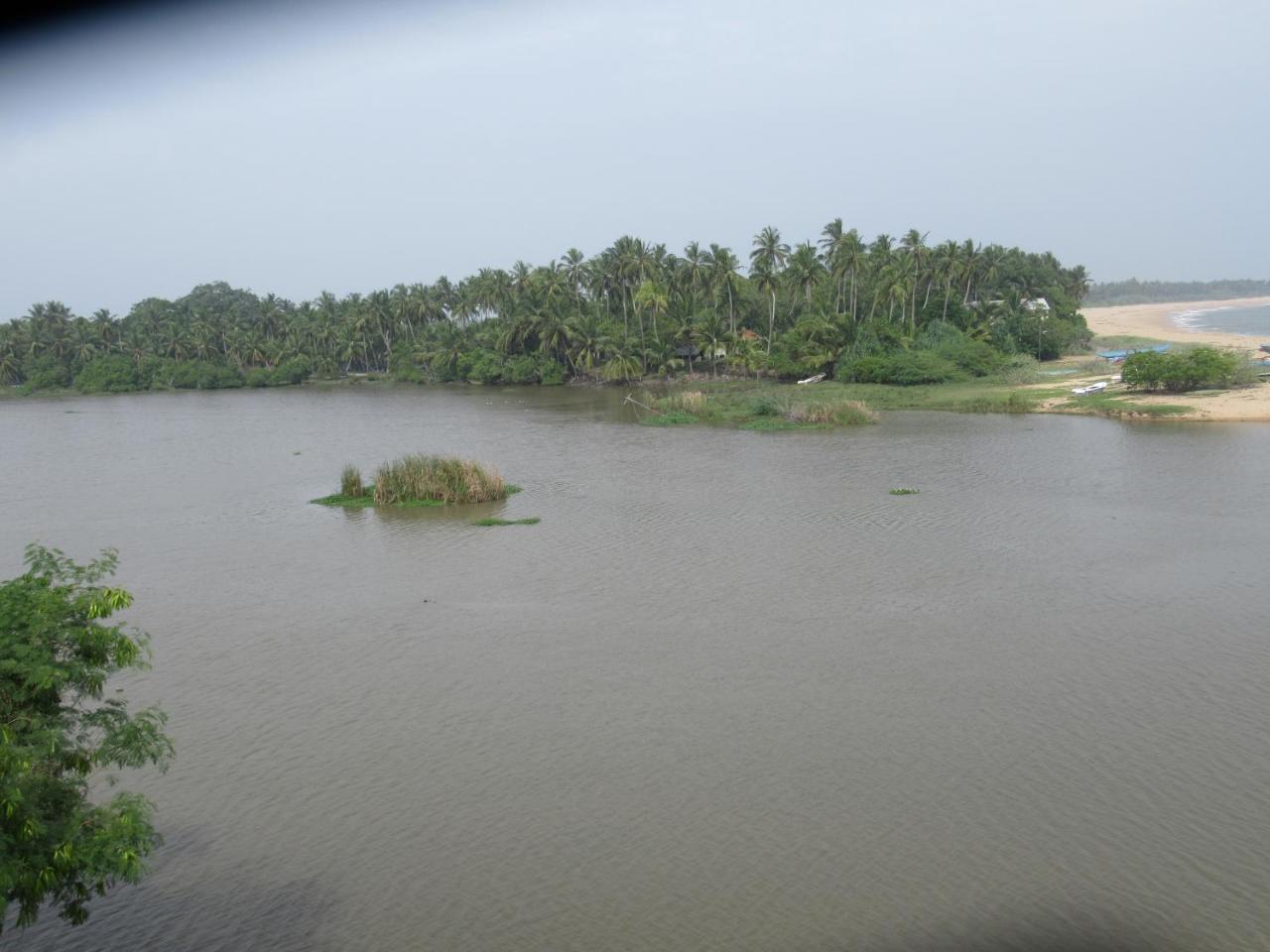Kalamatiya Bird Sanctuary Gurupokuna Luaran gambar